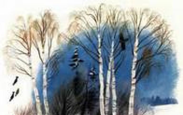 Mikhail Mikhailovich Prishvin - birds under the snow - read the book for free